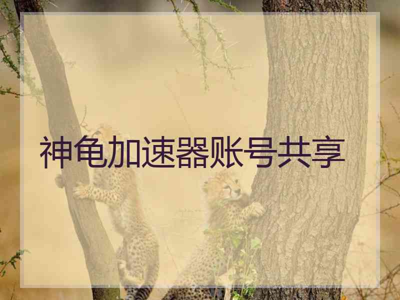 神龟加速器账号共享