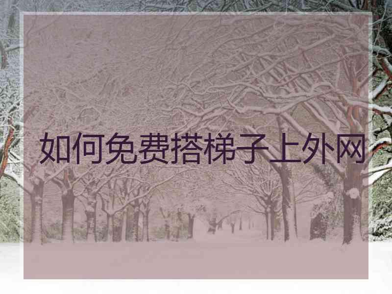 如何免费搭梯子上外网