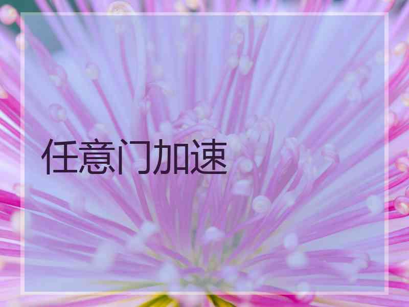 任意门加速