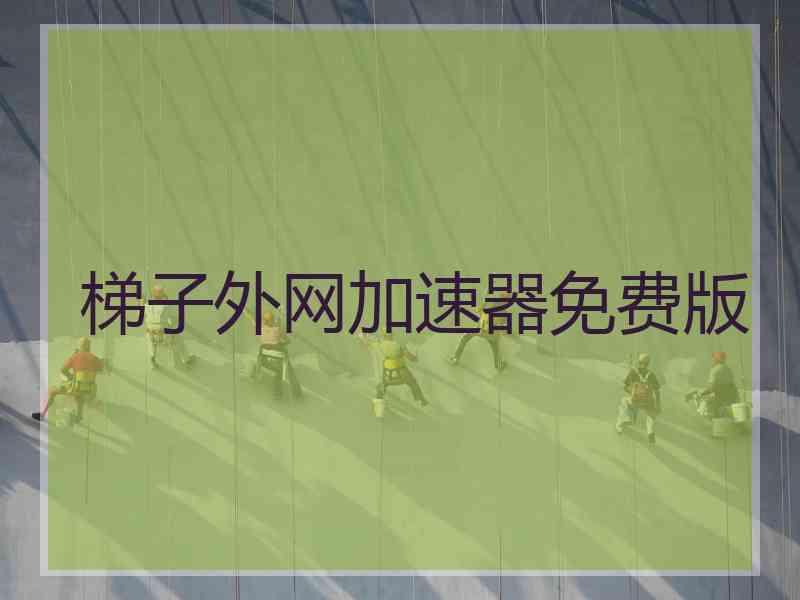 梯子外网加速器免费版