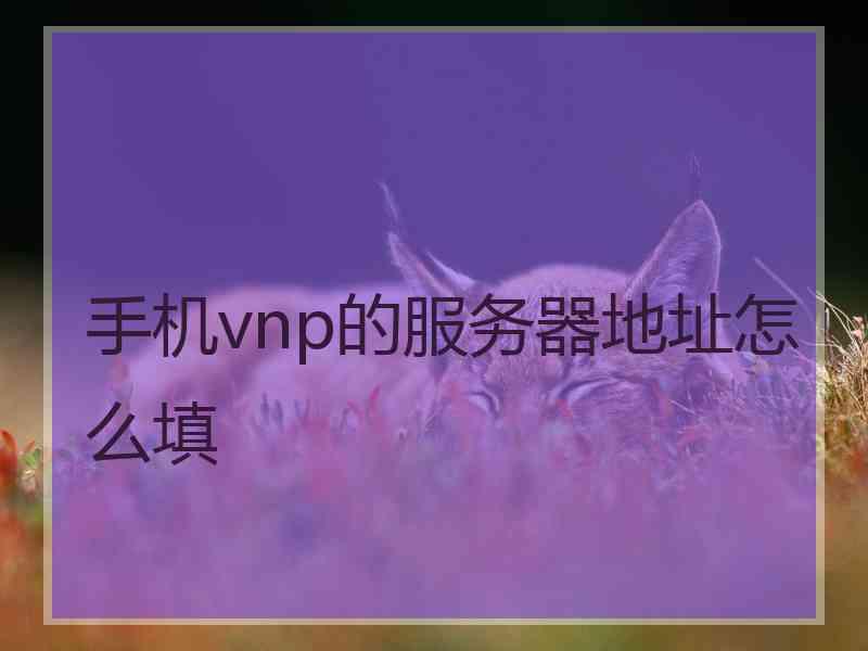 手机vnp的服务器地址怎么填