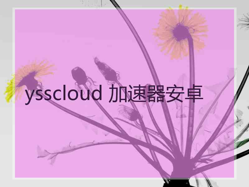 ysscloud 加速器安卓
