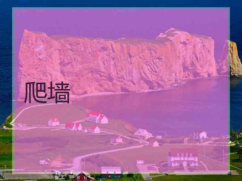 爬墙