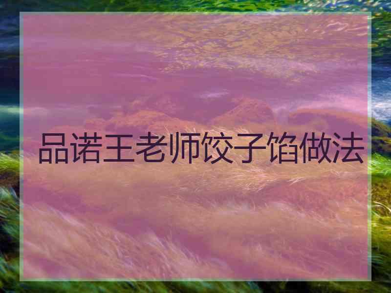 品诺王老师饺子馅做法