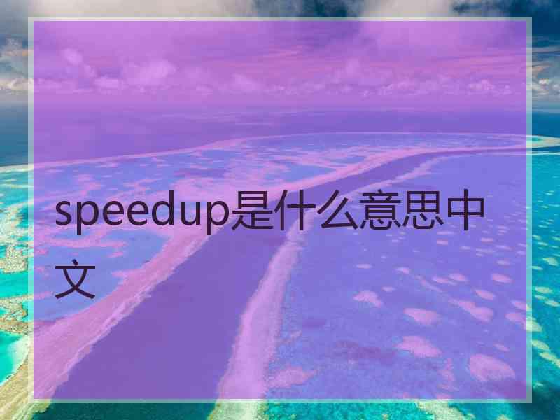 speedup是什么意思中文