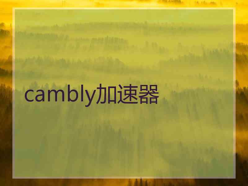 cambly加速器