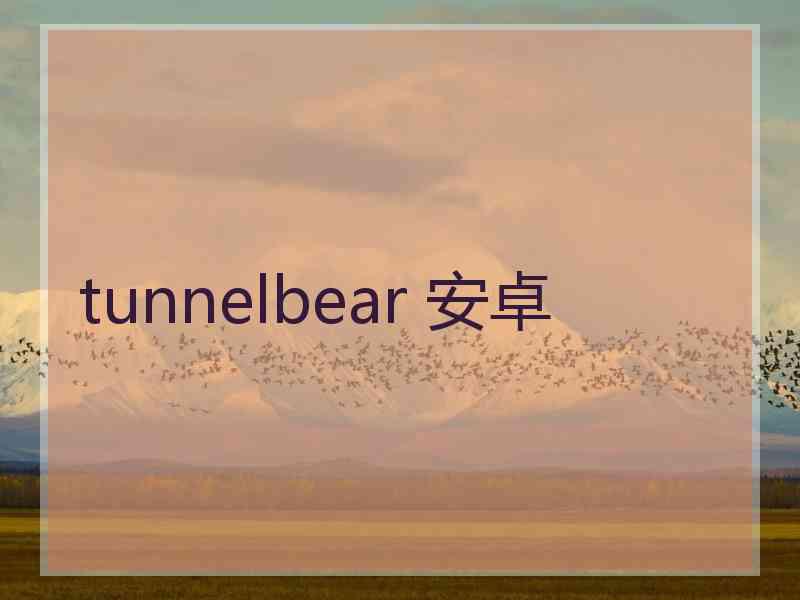 tunnelbear 安卓