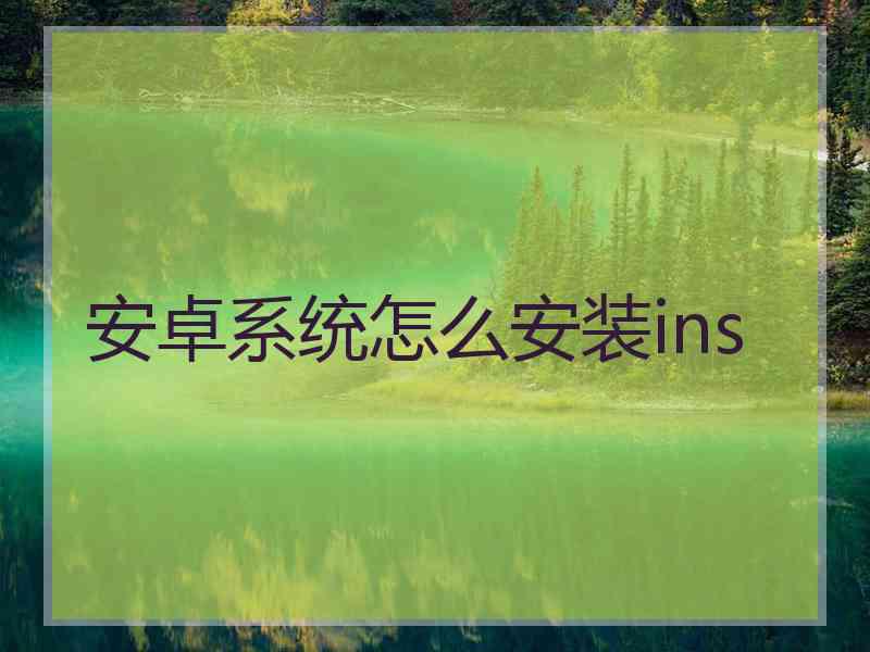 安卓系统怎么安装ins