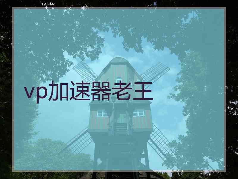 vp加速器老王