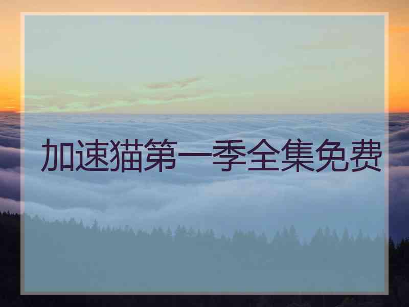 加速猫第一季全集免费