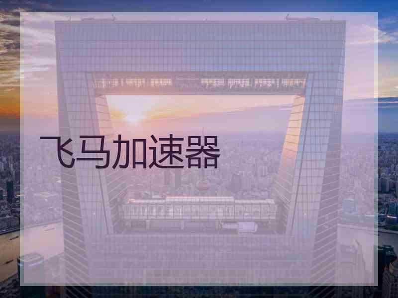 飞马加速器