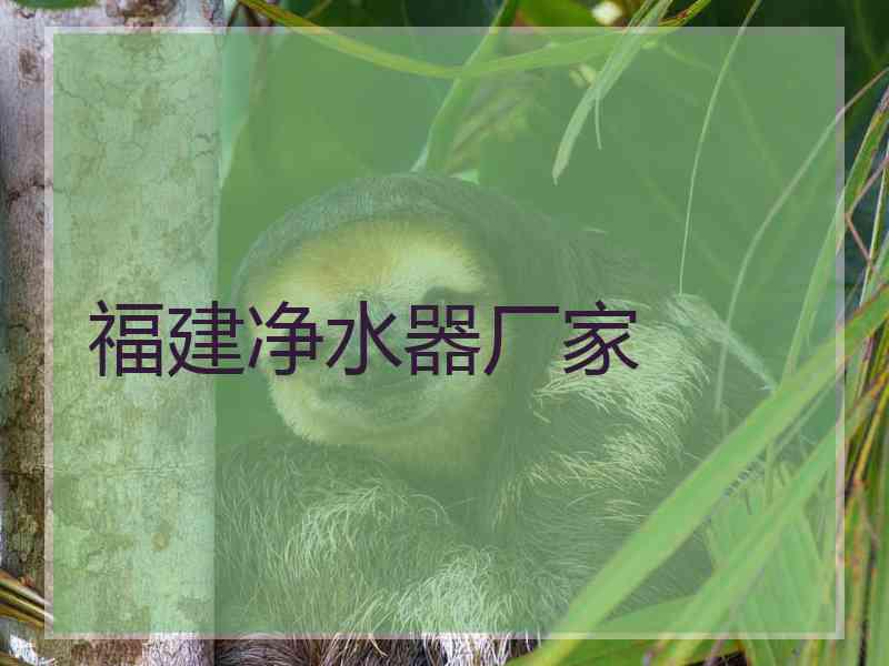 福建净水器厂家