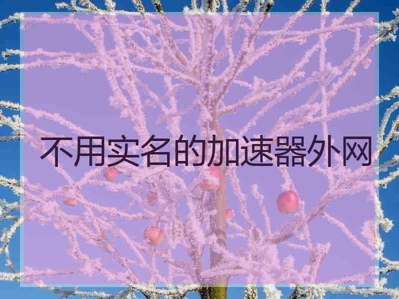 不用实名的加速器外网