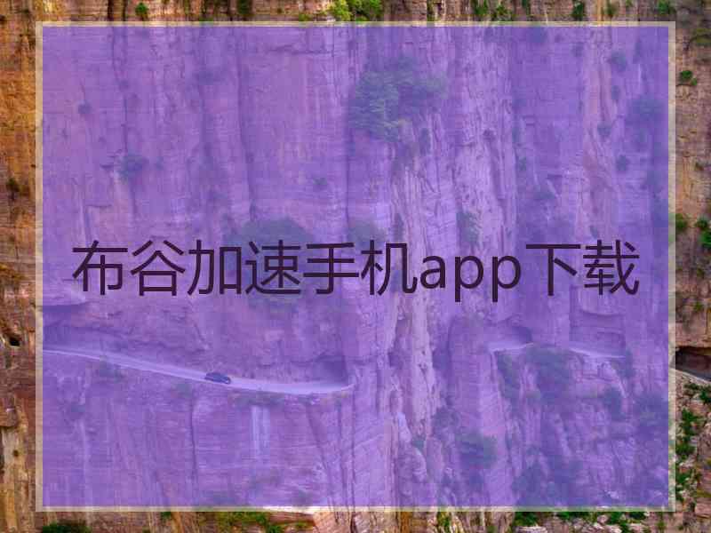 布谷加速手机app下载