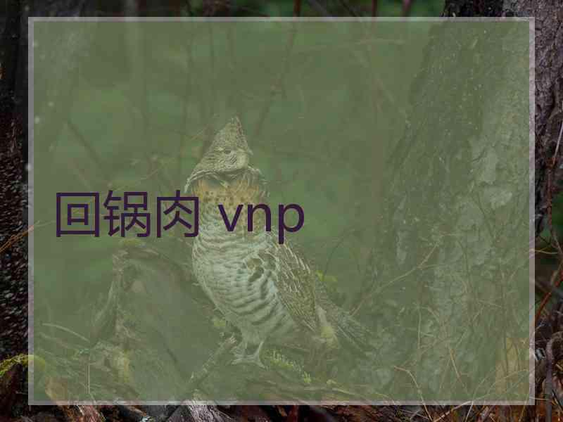 回锅肉 vnp