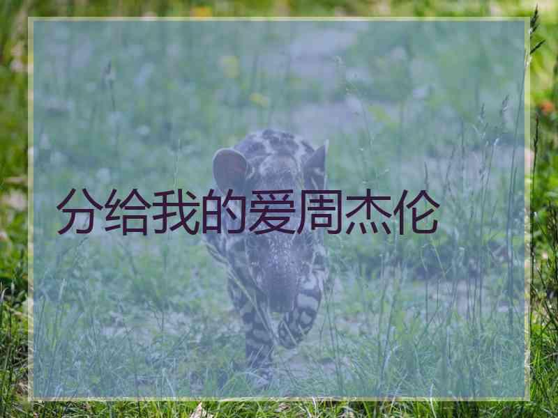 分给我的爱周杰伦