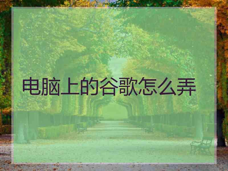 电脑上的谷歌怎么弄