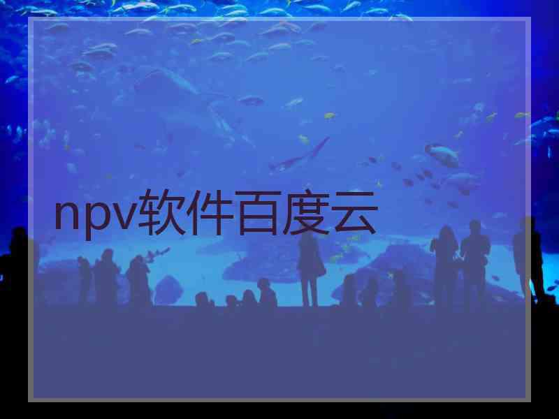 npv软件百度云