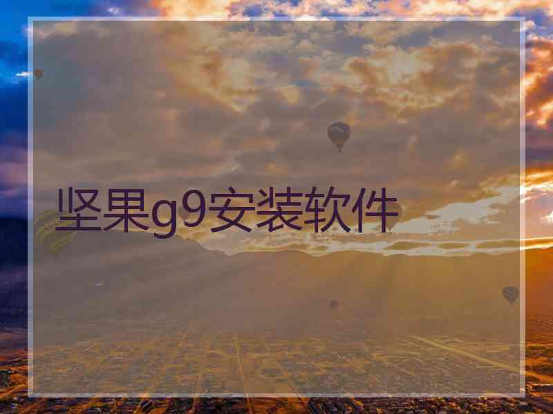 坚果g9安装软件