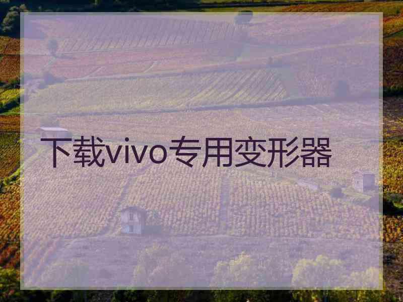 下载vivo专用变形器