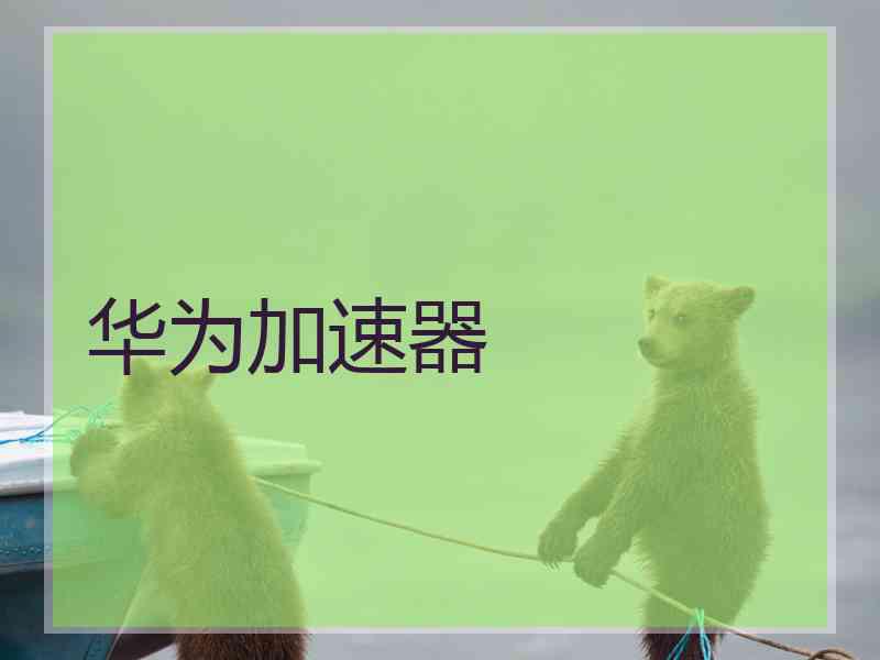 华为加速器