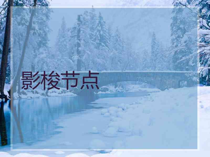 影梭节点