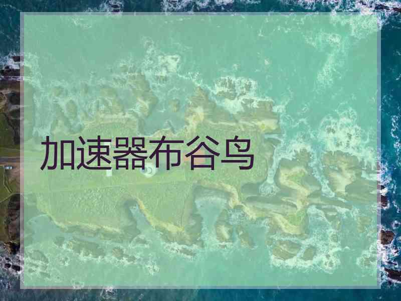 加速器布谷鸟