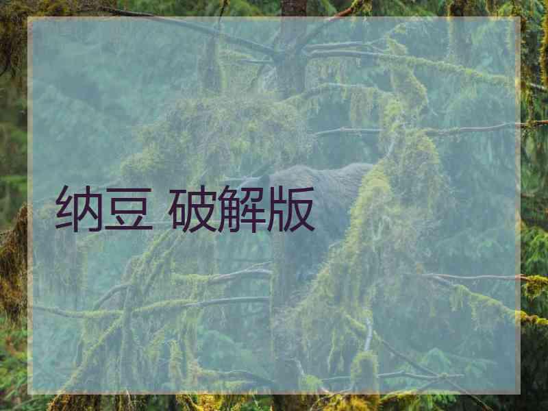纳豆 破解版