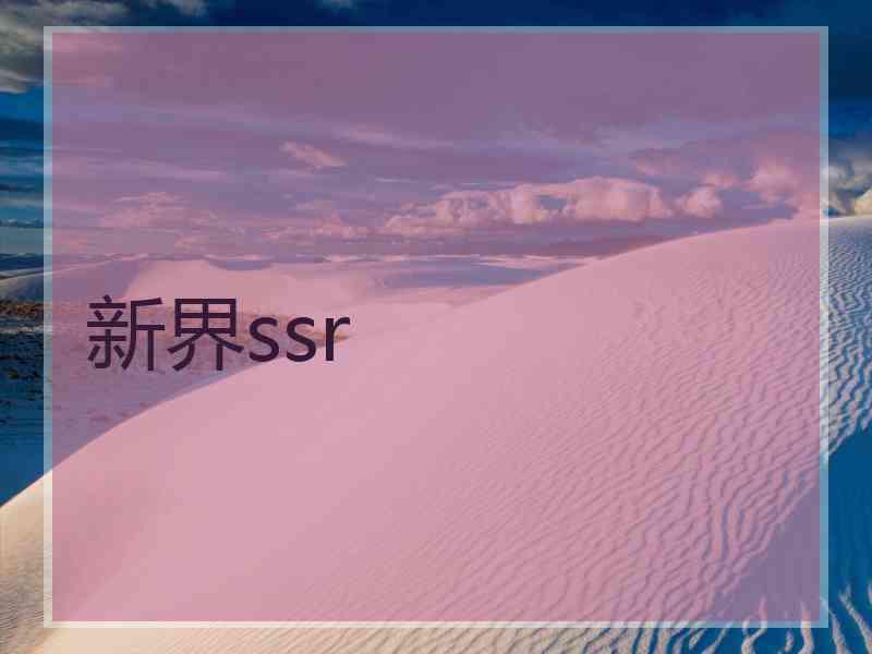 新界ssr