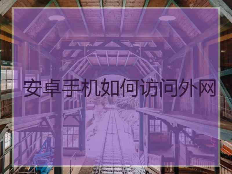 安卓手机如何访问外网