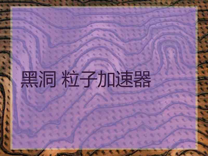 黑洞 粒子加速器
