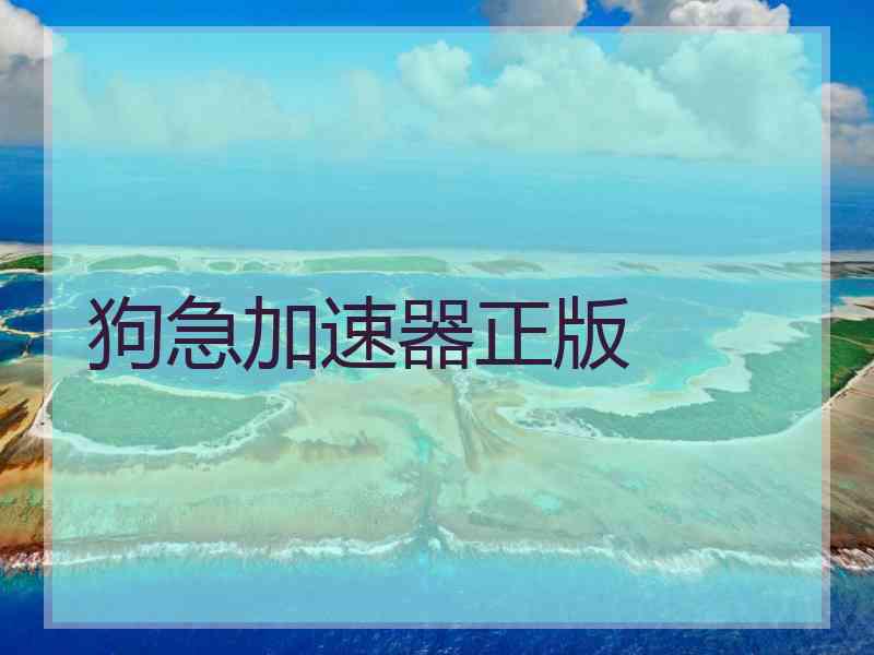 狗急加速器正版