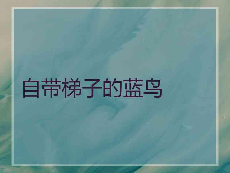 自带梯子的蓝鸟