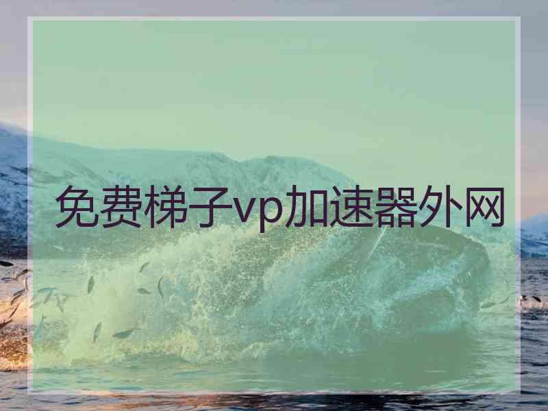 免费梯子vp加速器外网