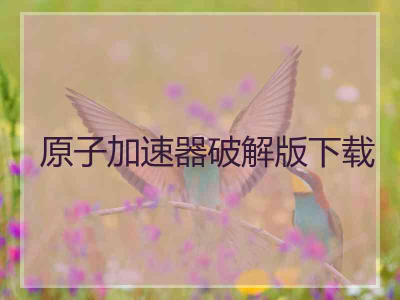 原子加速器破解版下载