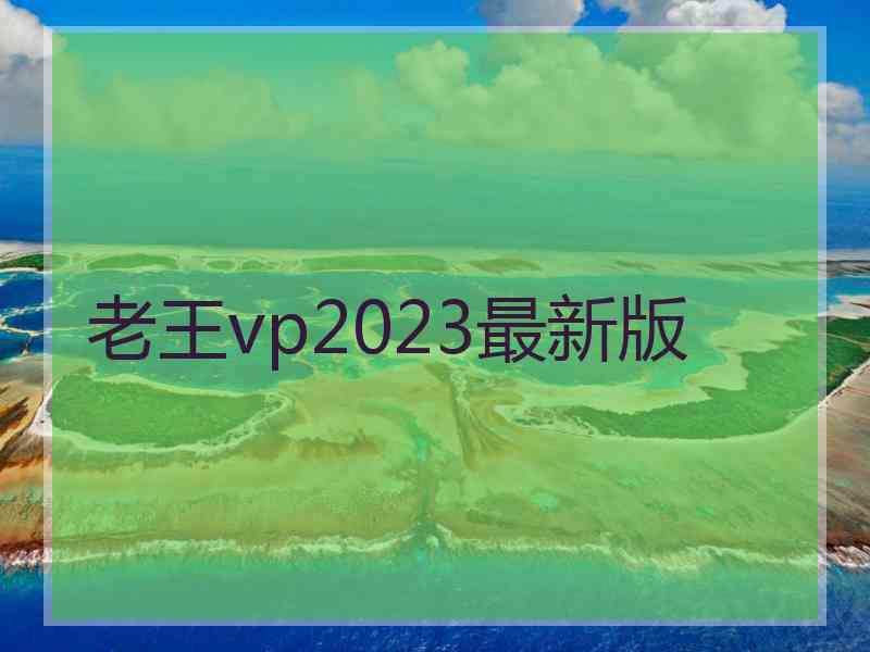 老王vp2023最新版