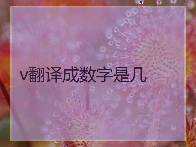 v翻译成数字是几