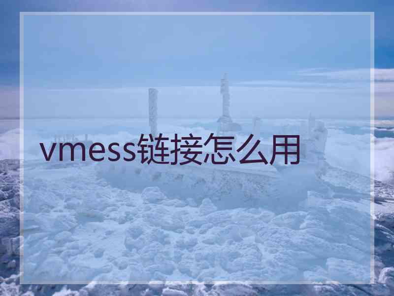 vmess链接怎么用