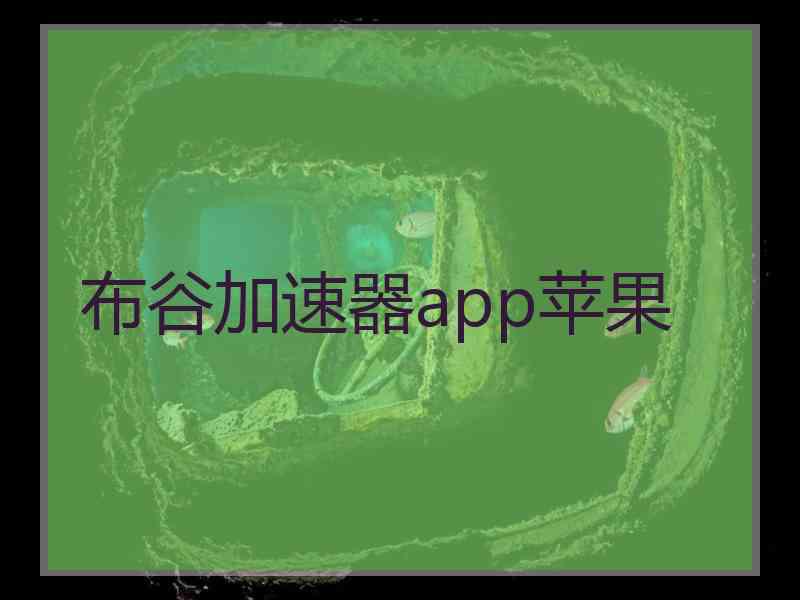 布谷加速器app苹果
