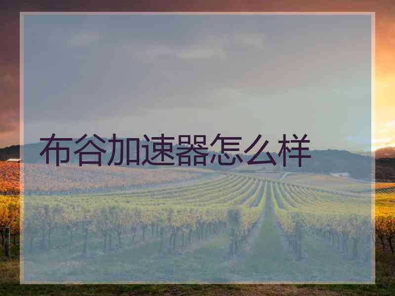 布谷加速器怎么样