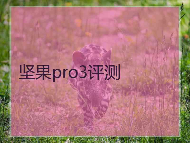 坚果pro3评测