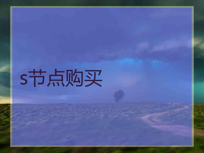 s节点购买