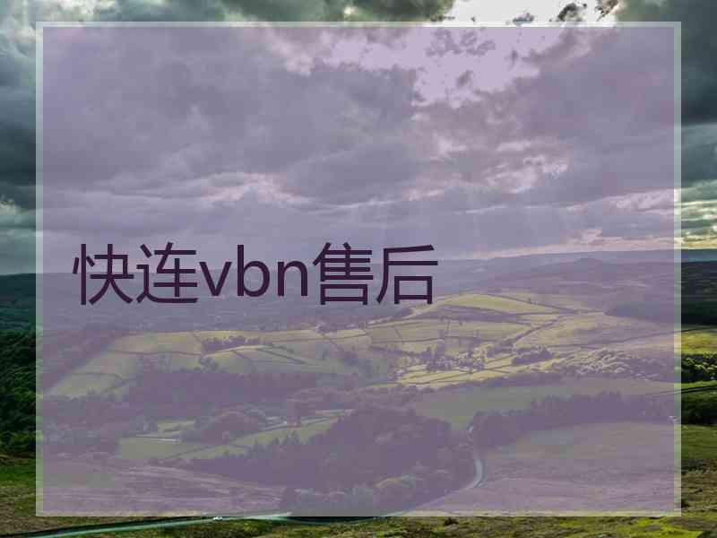 快连vbn售后