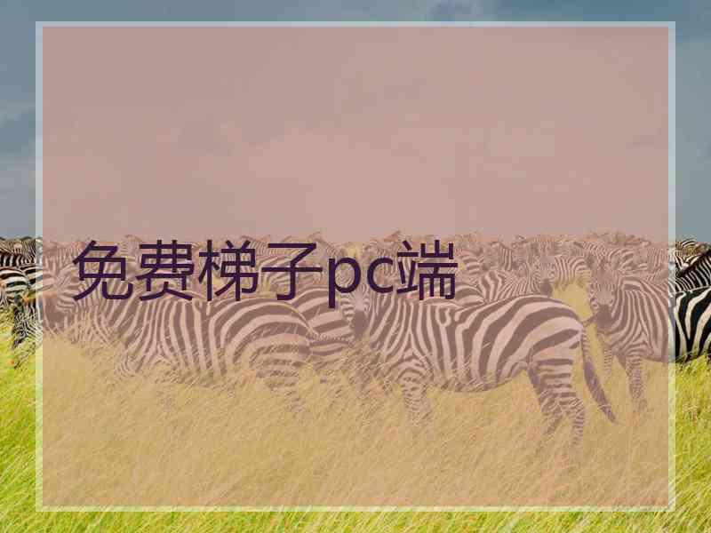 免费梯子pc端