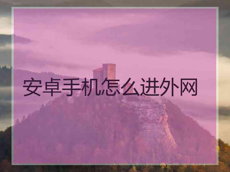 安卓手机怎么进外网