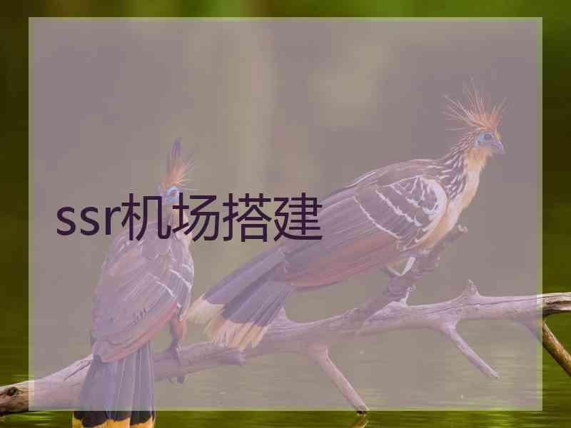 ssr机场搭建