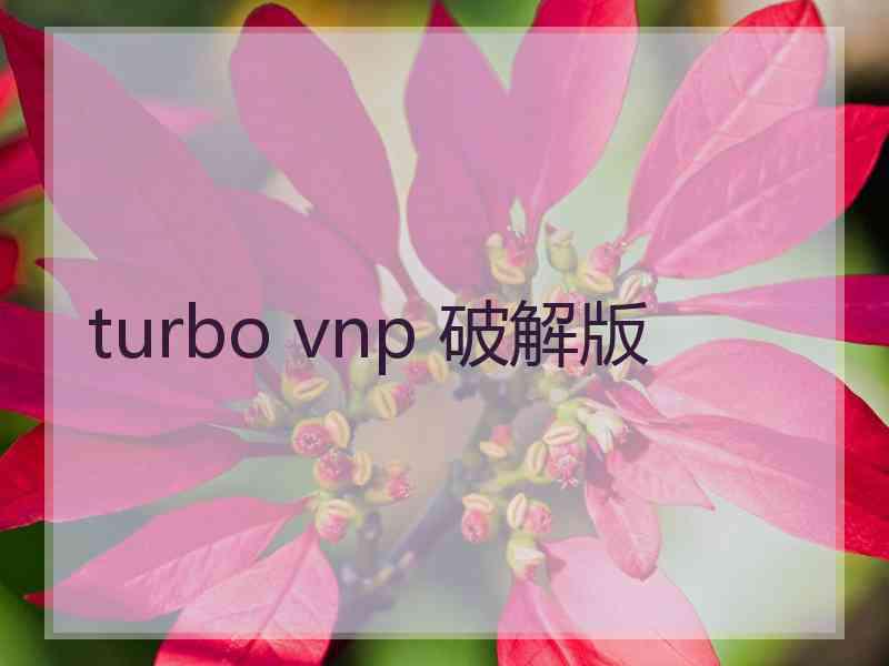 turbo vnp 破解版