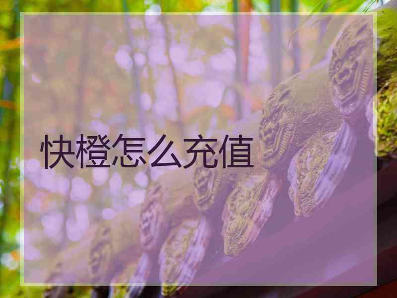 快橙怎么充值