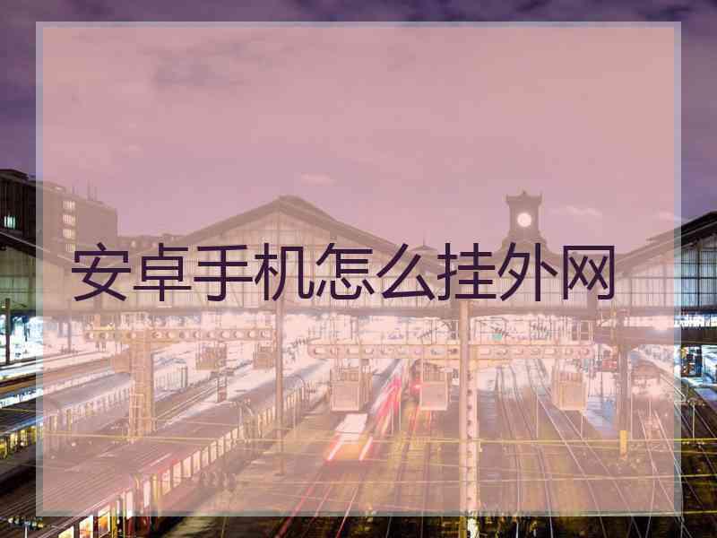 安卓手机怎么挂外网