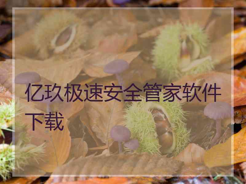 亿玖极速安全管家软件下载
